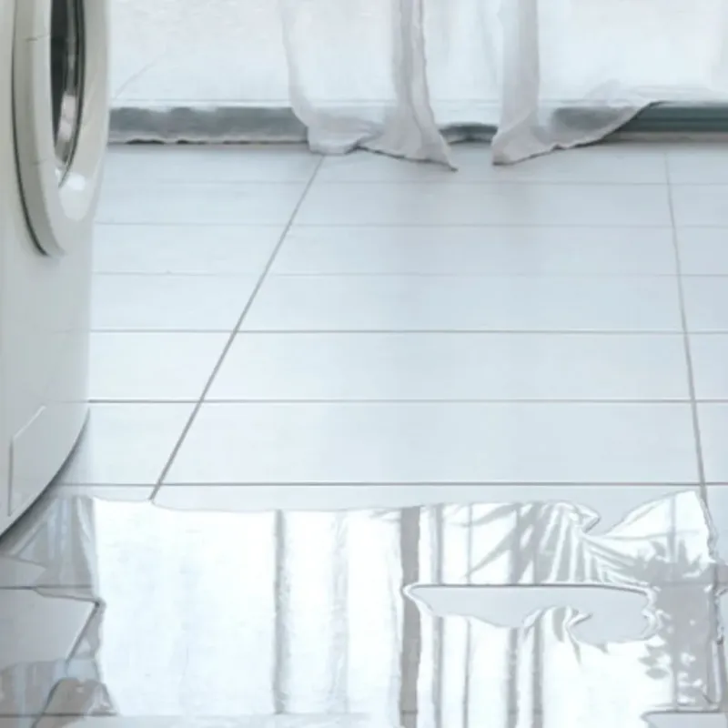 Appliance Leak Cleanup in Winona, MO
