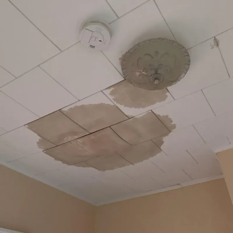 Ceiling Water Damage Repair in Winona, MO