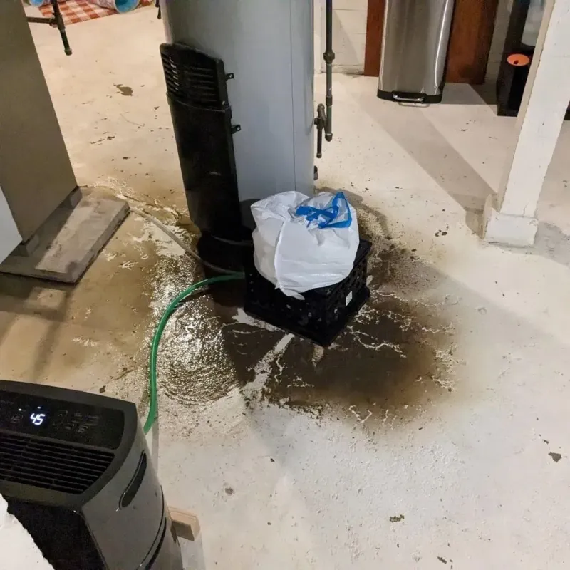 Sewage Backup Cleanup Service in Winona, MO